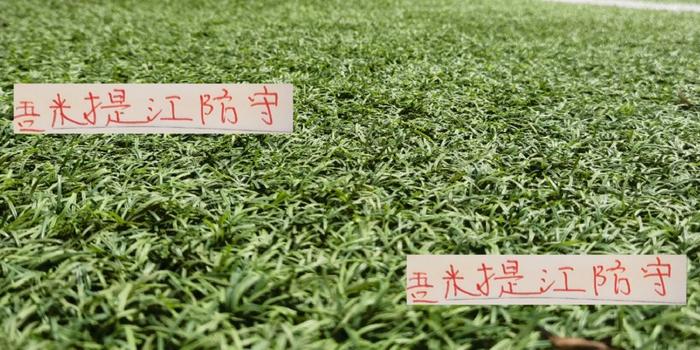 开云体育app下载-也是厉害哦！海港吾米提江的防守 能让澳大利亚球员难受