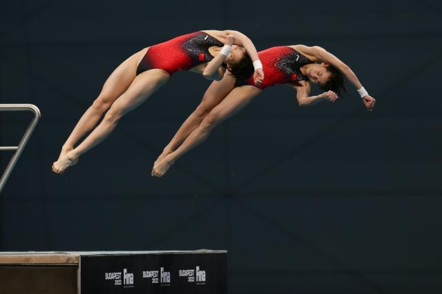 kaiyun-跳水世界杯中国冲奥运八金 全红婵有望金牌大满贯